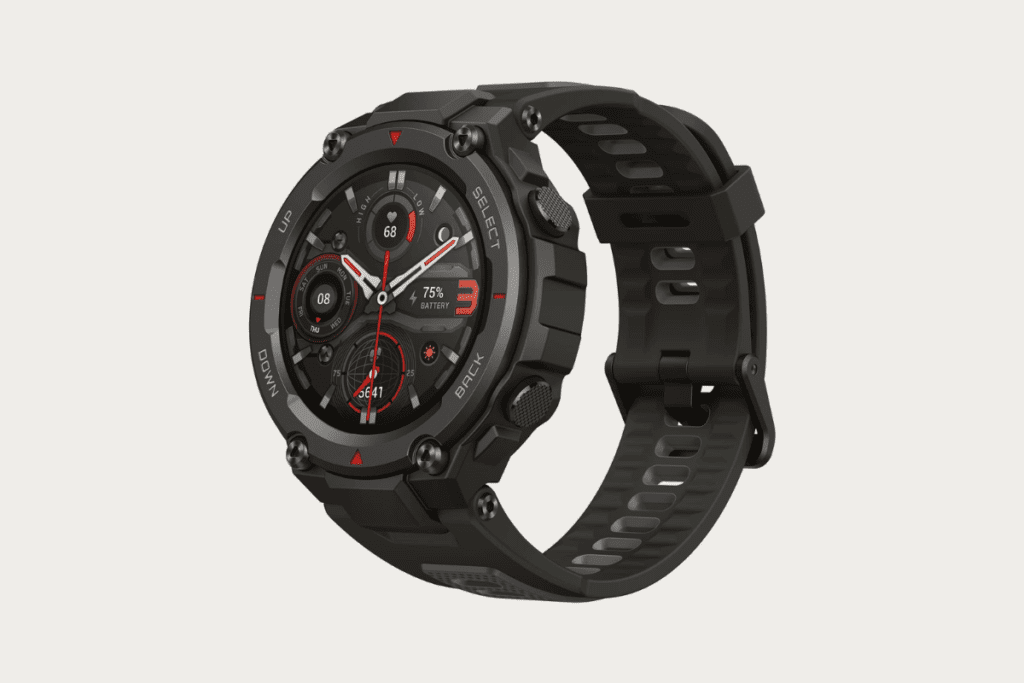 Garmin Fenix 6X Pro Cost (2)